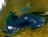 Forr�s: NASA