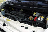 Forr�s: Aut�-Motor