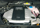 Forr�s: Aut�-Motor