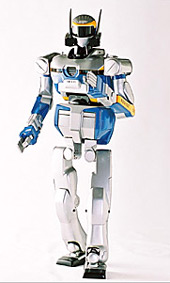Forr�s: kawada.co.jp