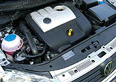 Forr�s: Aut�-Motor