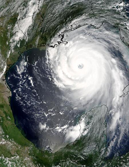 Forr�s: NASA