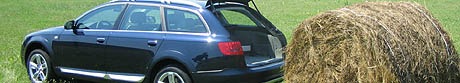 Forr�s: [origo]