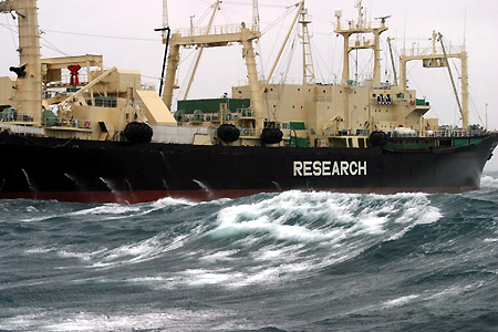 Forrás: SeaShepherd