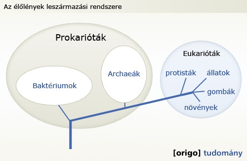Forrás: [origo]