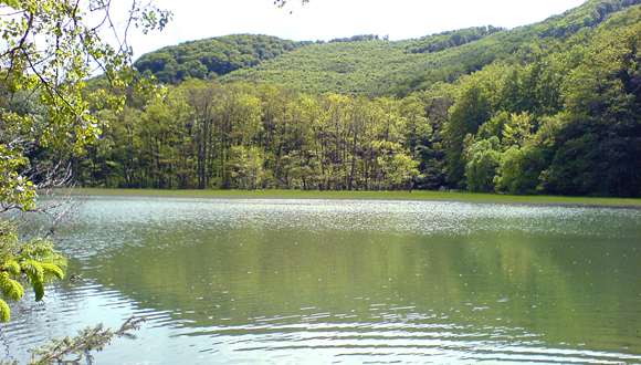 Forr�s: [origo]