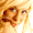 Forr�s: [origo]