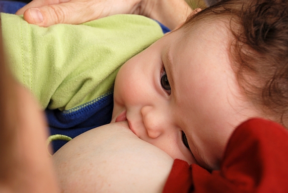Forr�s: iStockphoto