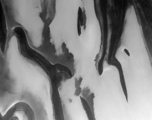 Forr�s: NASA