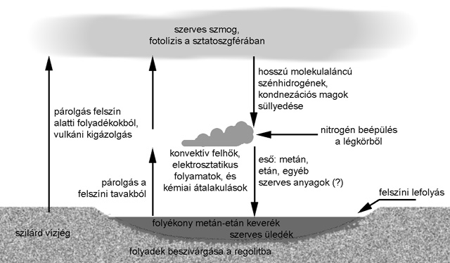 Forrás: Természet Világa Forrás: Természet Világa