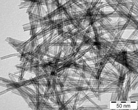 Forrás: auroscience.hu Forrás: auroscience.hu