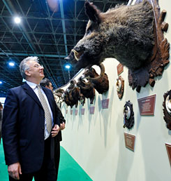 Forrás: MTI/Kovács Tamás Forrás: MTI/Kovács Tamás