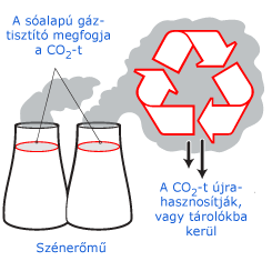 Forr�s: Scientific American