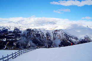 Forr�s: Flickr