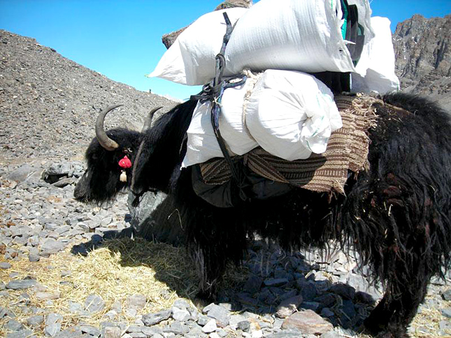 Forr�s: Expeditions.hu