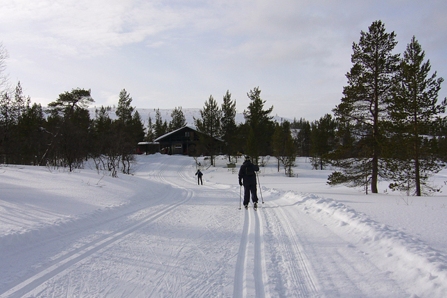 Forr�s: Flickr