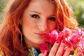 Forr�s: Viasat3