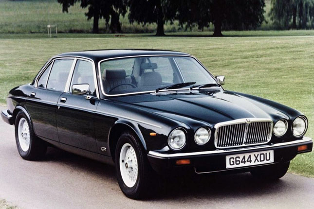 Forr�s: Jaguar