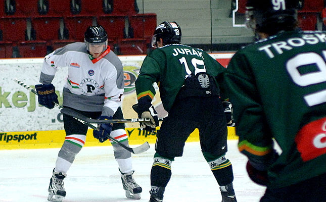 www.patriothockey.eu www.patriothockey.eu