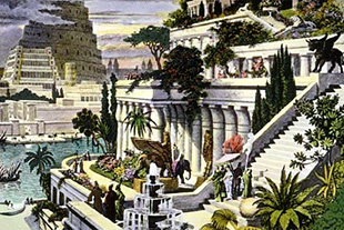Forr�s: Wikipedia