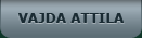 Vajda Attila